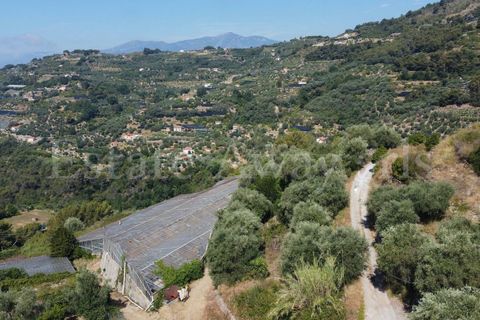 Terra em Seborga, Imperia, Seborga - € 440.000 | Ref: iv1342 - foto 3