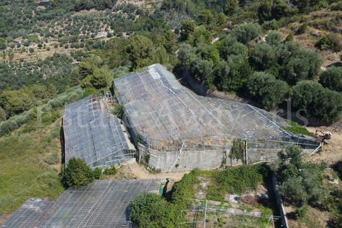 Terra em Seborga, Imperia, Seborga - € 440.000 | Ref: iv1342 - foto 4