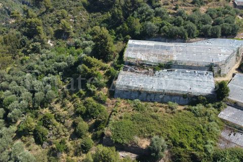 Terra em Seborga, Imperia, Seborga - € 440.000 | Ref: iv1342 - foto 5