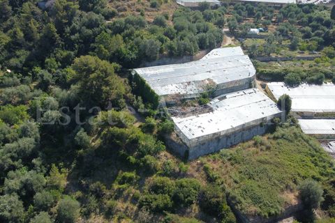 Terra em Seborga, Imperia, Seborga - € 440.000 | Ref: iv1342 - foto 6