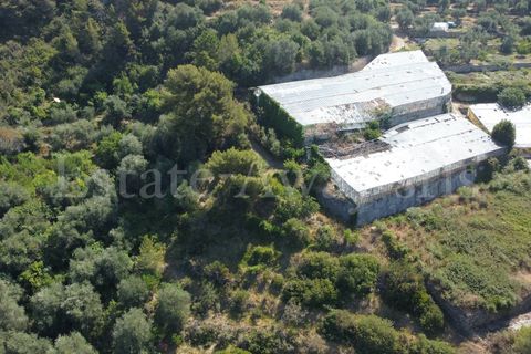 Terra em Seborga, Imperia, Seborga - € 440.000 | Ref: iv1342 - foto 7