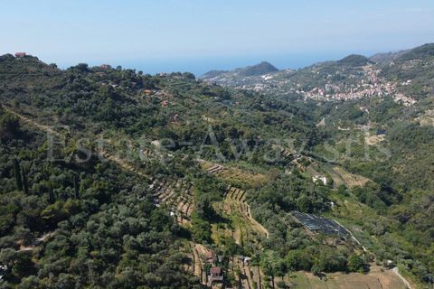 Terra em Seborga, Imperia, Seborga - € 440.000 | Ref: iv1342 - foto 9
