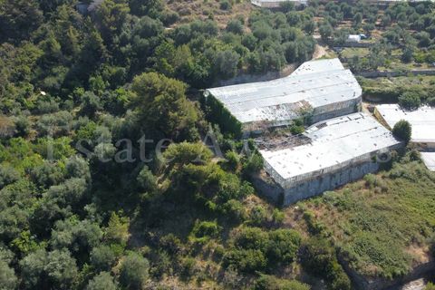 Terra em Seborga, Imperia, Seborga - € 440.000 | Ref: iv1342 - foto 10