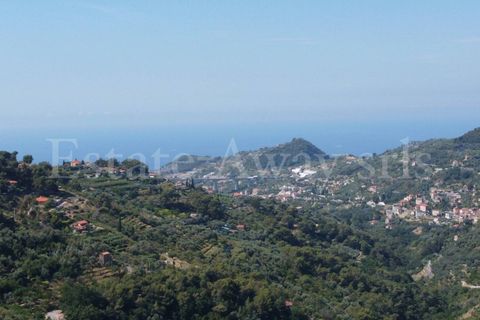 Terra em Seborga, Imperia, Seborga - € 440.000 | Ref: iv1342 - foto 11
