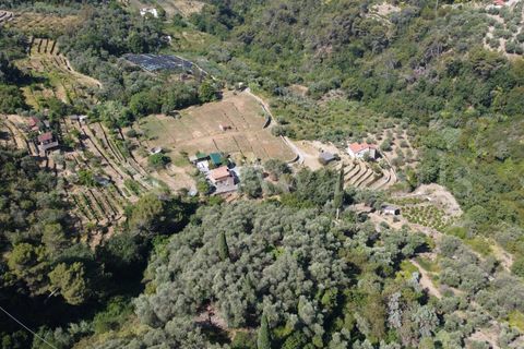Terra em Seborga, Imperia, Seborga - € 440.000 | Ref: iv1342 - foto 12