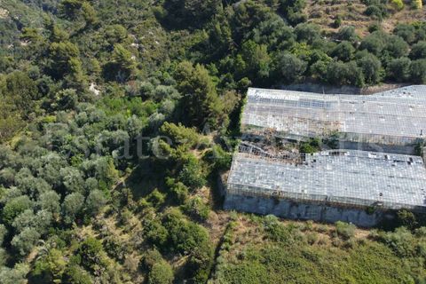 Terra em Seborga, Imperia, Seborga - € 440.000 | Ref: iv1342 - foto 13