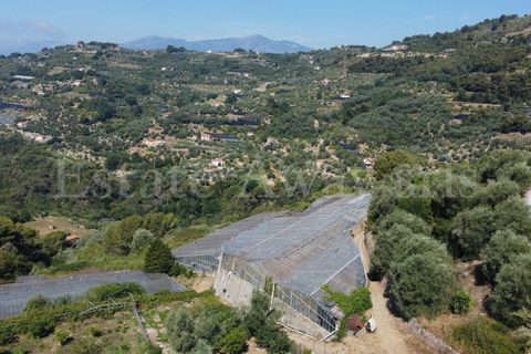 Terra em Seborga, Imperia, Seborga - € 440.000 | Ref: iv1342 - foto 14