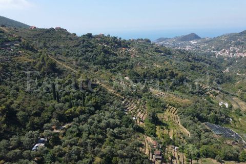 Terra em Seborga, Imperia, Seborga - € 440.000 | Ref: iv1342 - foto 15