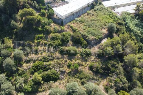 Terra em Seborga, Imperia, Seborga - € 440.000 | Ref: iv1342 - foto 18