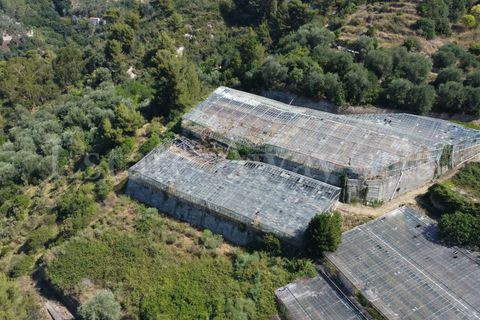 Terra em Seborga, Imperia, Seborga - € 440.000 | Ref: iv1342 - foto 19