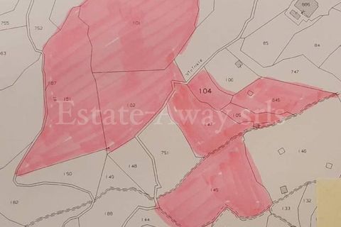 Terra em Seborga, Imperia, Seborga - € 440.000 | Ref: iv1342 - foto 20
