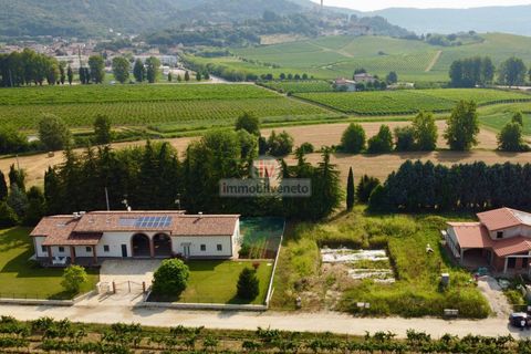 Terra a Brendola, Vicenza, Brendola - € 210.000 | Ref: 877 - foto 2