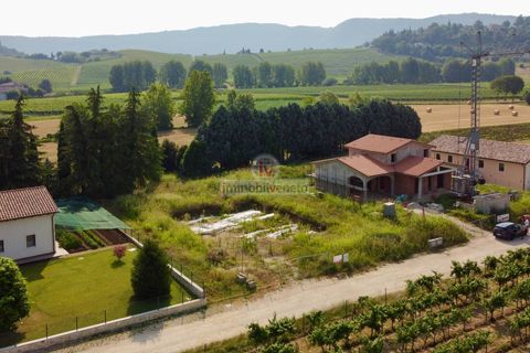 Terra a Brendola, Vicenza, Brendola - € 210.000 | Ref: 877 - foto 3