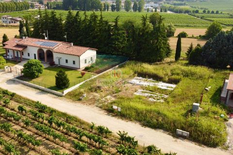 Terra a Brendola, Vicenza, Brendola - € 210.000 | Ref: 877 - foto 4