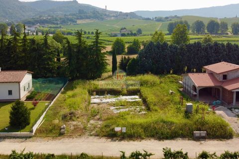 Terra a Brendola, Vicenza, Brendola - € 210.000 | Ref: 877 - foto 5