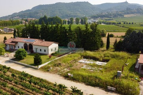Terra a Brendola, Vicenza, Brendola - € 210.000 | Ref: 877 - foto 6