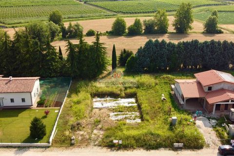 Terra a Brendola, Vicenza, Brendola - € 210.000 | Ref: 877 - foto 7