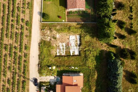 Terra a Brendola, Vicenza, Brendola - € 210.000 | Ref: 877 - foto 9