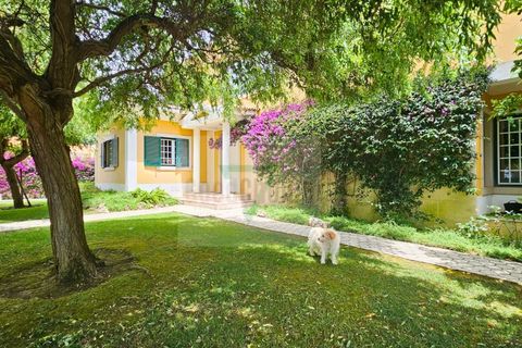 Villa i Sintra, Lisbon, Sintra - € 2.250.000 | Ref: GC67202505MJ - foto 18