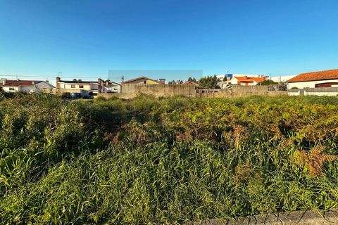 Tomt i Esmoriz, Aveiro, Esmoriz - € 65 000 | Ref: TER_543 - foto 5