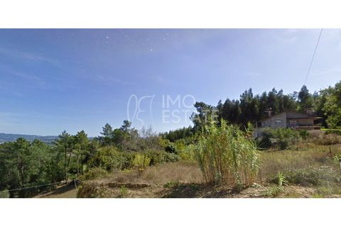 Terra a Antuzede e Vil de Matos, Coimbra, Antuzede e Vil de Matos - € 35.000 | Ref: IE307_1 - foto 11