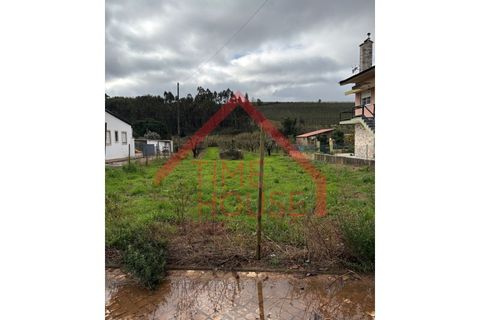 Helårsgrund i Cadaval, Lisbon, Cadaval - € 39.500 | Ref: TER_TH-MA 195 - foto 6