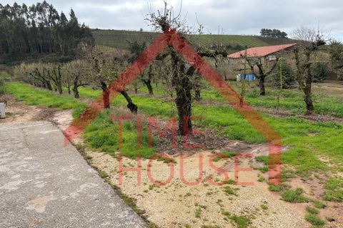 Helårsgrund i Cadaval, Lisbon, Cadaval - € 39.500 | Ref: TER_TH-MA 195 - foto 10