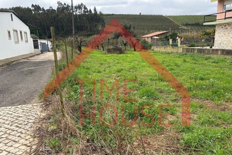 Helårsgrund i Cadaval, Lisbon, Cadaval - € 39.500 | Ref: TER_TH-MA 195 - foto 16
