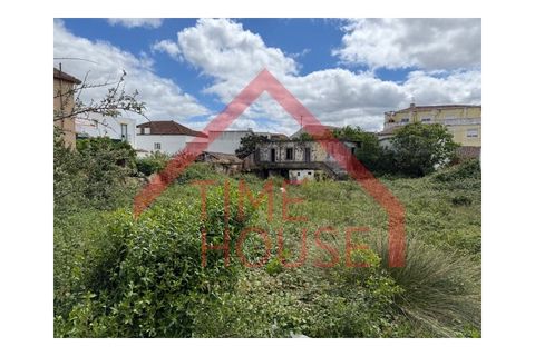 Helårsgrund i Bombarral, Leiria, Bombarral - € 240.000 | Ref: TER_TH-MA  207 - foto 3