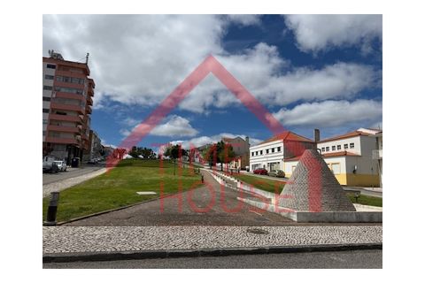 Helårsgrund i Bombarral, Leiria, Bombarral - € 240.000 | Ref: TER_TH-MA  207 - foto 14