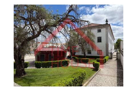 Helårsgrund i Bombarral, Leiria, Bombarral - € 240.000 | Ref: TER_TH-MA  207 - foto 23