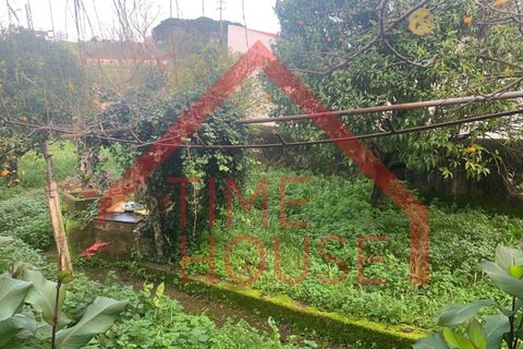 Landejendom i Cadaval, Lisbon, Cadaval - € 179.500 | Ref: QUIN_TH-MA 098 - foto 23