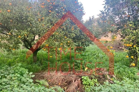 Landejendom i Cadaval, Lisbon, Cadaval - € 179.500 | Ref: QUIN_TH-MA 098 - foto 27
