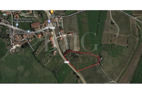 Helårsgrund i Alenquer, Lisbon, Alenquer - € 28.000 | Ref: BMG 847/21 - foto 2