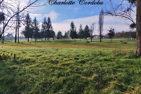 Lejlighed i Barbaste, Lot-et-Garonne, Barbaste - € 49.900 | Ref: 340933845956 - foto 16