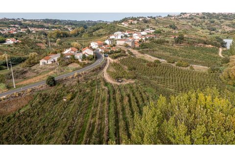 Helårsgrund i Alcobaca, Leiria, Alcobaca - € 30.000 | Ref: 099/2022.PA - foto 3