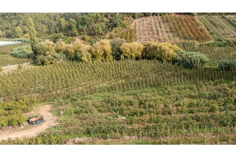 Helårsgrund i Alcobaca, Leiria, Alcobaca - € 30.000 | Ref: 099/2022.PA - foto 4