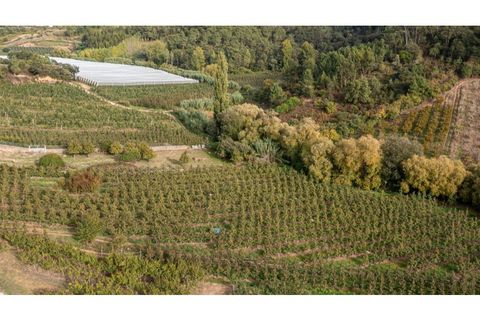 Helårsgrund i Alcobaca, Leiria, Alcobaca - € 30.000 | Ref: 099/2022.PA - foto 5