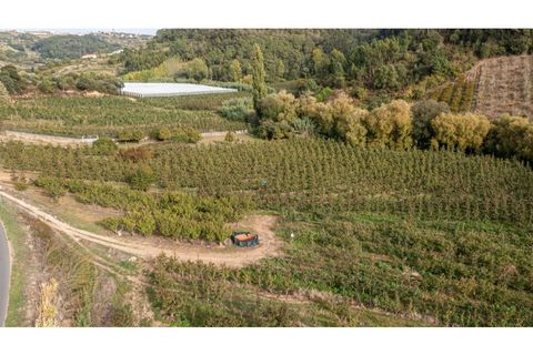 Helårsgrund i Alcobaca, Leiria, Alcobaca - € 30.000 | Ref: 099/2022.PA - foto 6