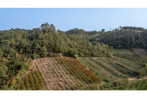 Helårsgrund i Alcobaca, Leiria, Alcobaca - € 30.000 | Ref: 099/2022.PA - foto 10