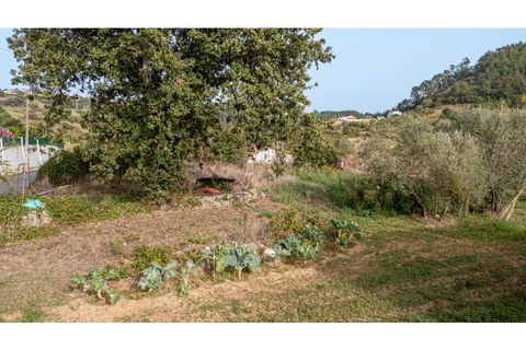 Helårsgrund i Alcobaca, Leiria, Alcobaca - € 70.000 | Ref: 097/2022.PA - foto 4