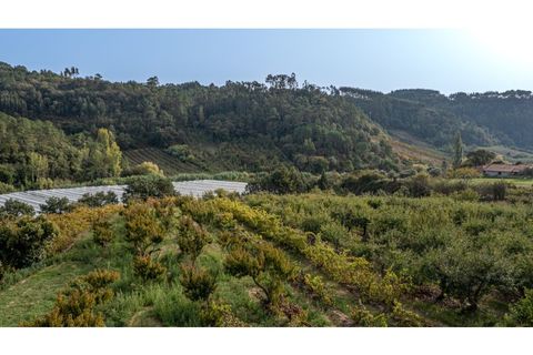 Helårsgrund i Alcobaca, Leiria, Alcobaca - € 70.000 | Ref: 097/2022.PA - foto 9