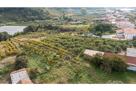 Helårsgrund i Alcobaca, Leiria, Alcobaca - € 70.000 | Ref: 097/2022.PA - foto 16