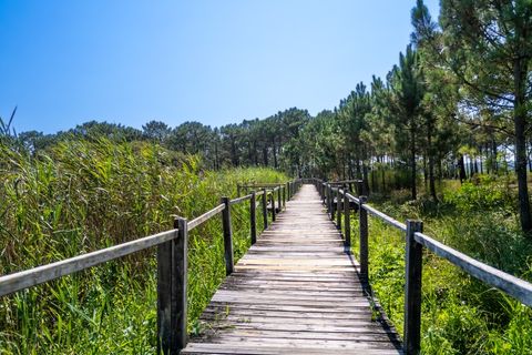 Villa i Pataias, Leiria, Pataias - € 1.882.000 | Ref: 082/2025.LS - foto 30