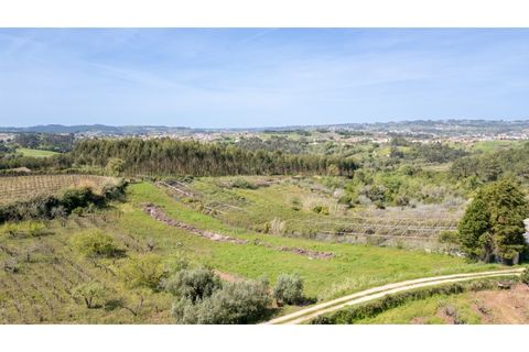 Helårsgrund i Alcobaca, Leiria, Alcobaca - € 20.000 | Ref: 032/2025.PS - foto 4