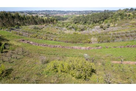 Helårsgrund i Alcobaca, Leiria, Alcobaca - € 20.000 | Ref: 032/2025.PS - foto 10
