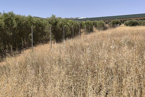 Terra a Caudete, Albacete, Caudete - € 49.995 | Ref: 71003 - foto 2