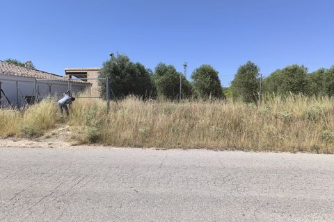 Terra a Caudete, Albacete, Caudete - € 49.995 | Ref: 71003 - foto 3