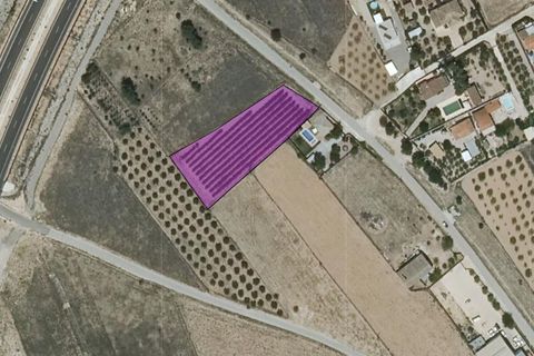 Terra a Caudete, Albacete, Caudete - € 49.995 | Ref: 71003 - foto 5
