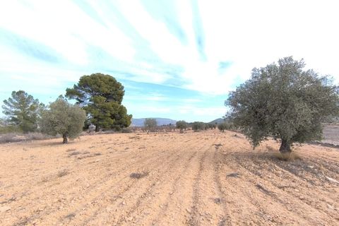 Villa in Monovar, Alicante, Monovar - € 420.000 | Ref: 61119c2607v1 - foto 15